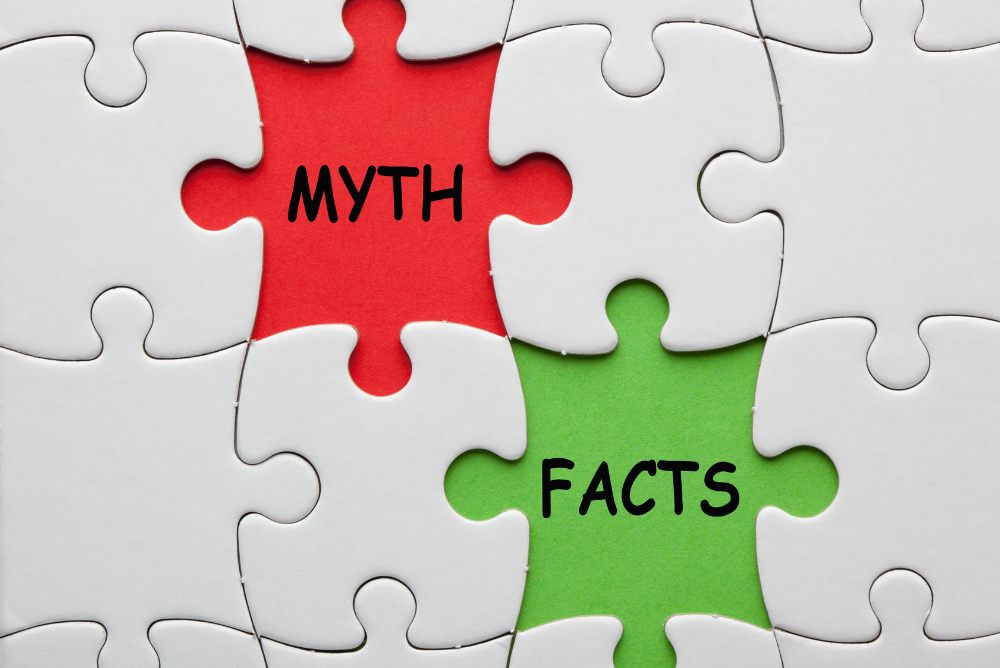 Common cybersecurity myths.

Myths and Facts written in puzzle board.